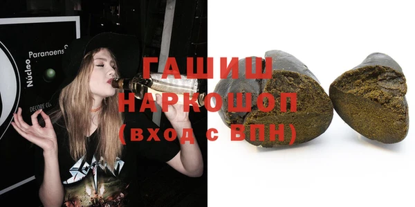 шишки Тында