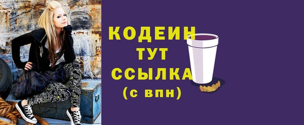 не бодяженный Туринск