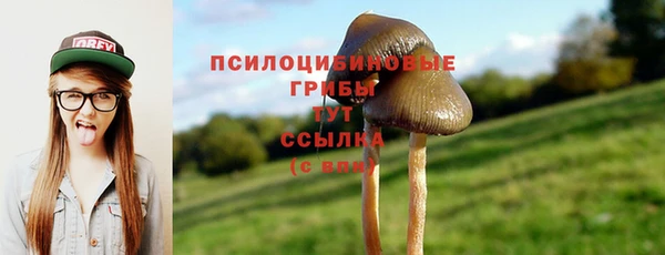 не бодяженный Туринск