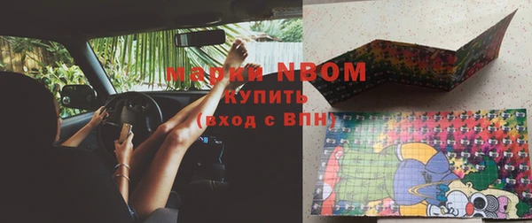 шишки Тында