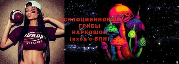 не бодяженный Туринск