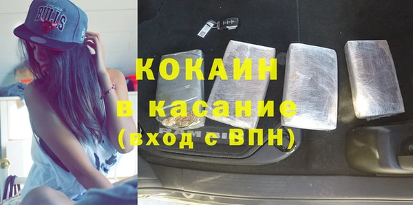 шишки Тында