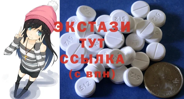 шишки Тында