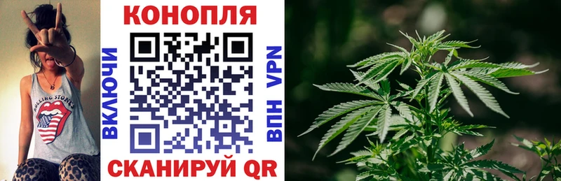 Бошки Шишки VHQ  ОМГ ОМГ ссылки  даркнет наркотические препараты  Новосибирск 